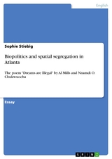 Biopolitics and spatial segregation in Atlanta - Sophie Stiebig