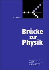 Brücke zur Physik - Treitz, Norbert