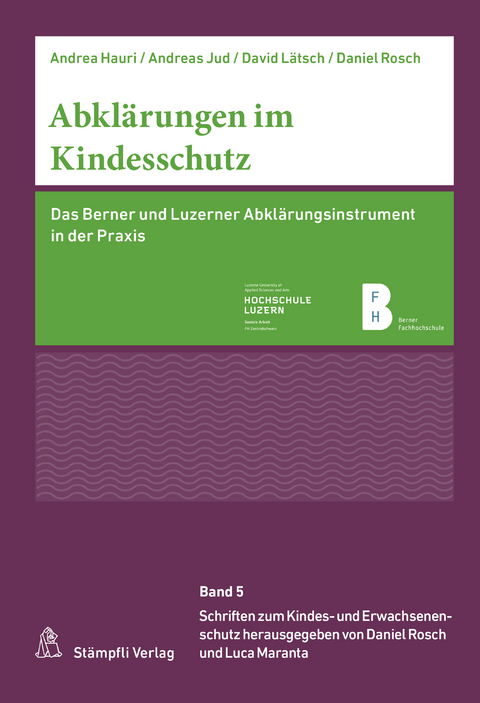 Abklärungen im Kindesschutz - Andrea Hauri, Andreas Jud, David Lätsch, Daniel Rosch