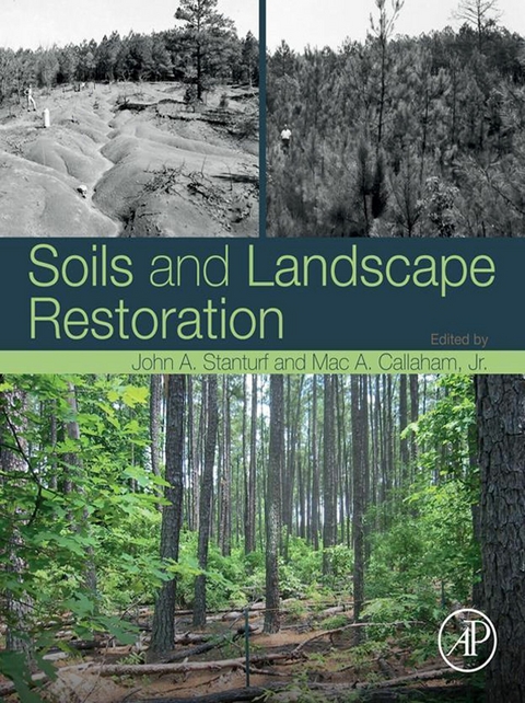 Soils and Landscape Restoration - 