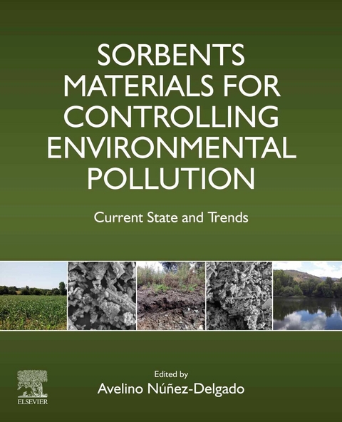 Sorbents Materials for Controlling Environmental Pollution - 