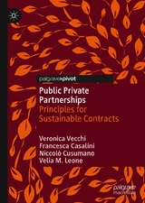 Public Private Partnerships - Veronica Vecchi, Francesca Casalini, Niccolò Cusumano, Velia M. Leone