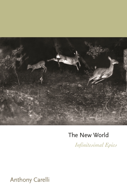 The New World - Anthony Carelli