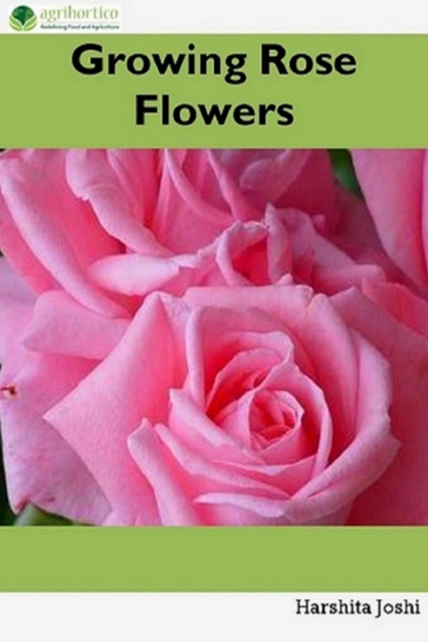 Growing Rose Flowers - Harshita Joshi