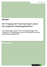 Der Umgang mit Systemsprenger_innen. Ein möglicher Handlungsleitfaden