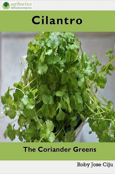 Cilantro, the Coriander Greens - Roby Jose Ciju