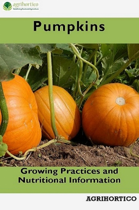 Pumpkins - Agrihortico Cpl