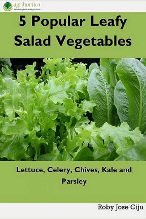 5 Popular Leafy Salad Vegetables - Roby Jose Ciju