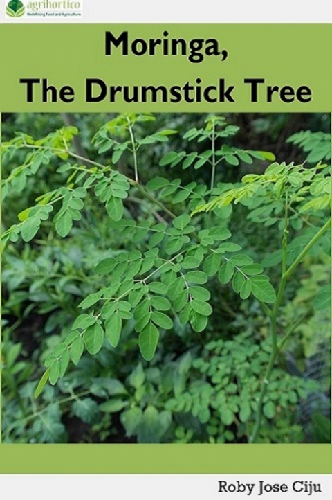 Moringa, the Drumstick Tree - Roby Jose Ciju