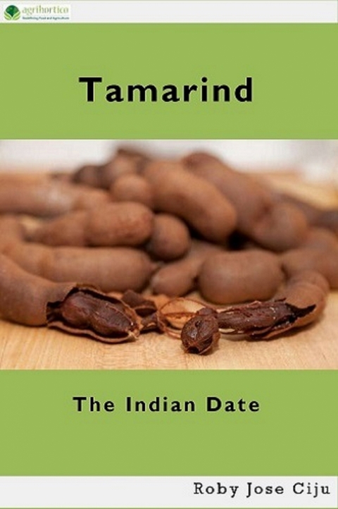 Tamarind - Roby Jose Ciju