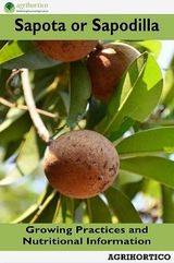 Sapota or Sapodilla - Agrihortico Cpl