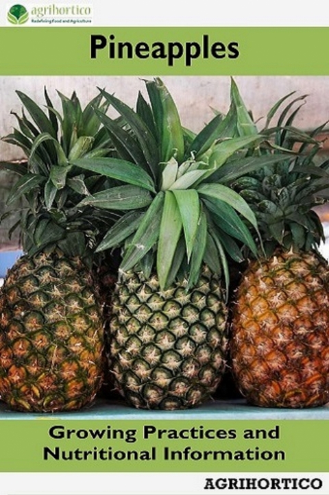 Pineapple - Agrihortico Cpl