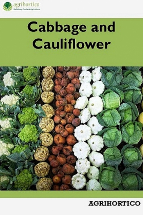 Cabbage and Cauliflower - Agrihortico Cpl