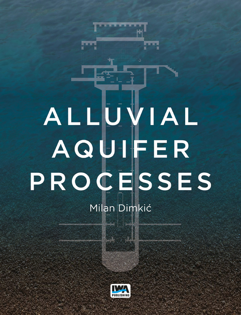 Alluvial Aquifer Processes - 