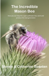 Incredible Mason Bee -  Catherine Scanlan,  Steven Scanlan