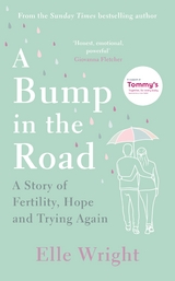 A Bump in the Road - Elle Wright