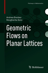 Geometric Flows on Planar Lattices - Andrea Braides, Margherita Solci