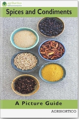 Spices and Condiments - Agrihortico Cpl