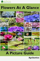 Flowers at a Glance - Agrihortico Cpl