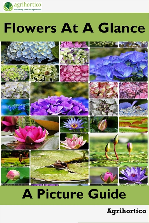 Flowers at a Glance - Agrihortico Cpl