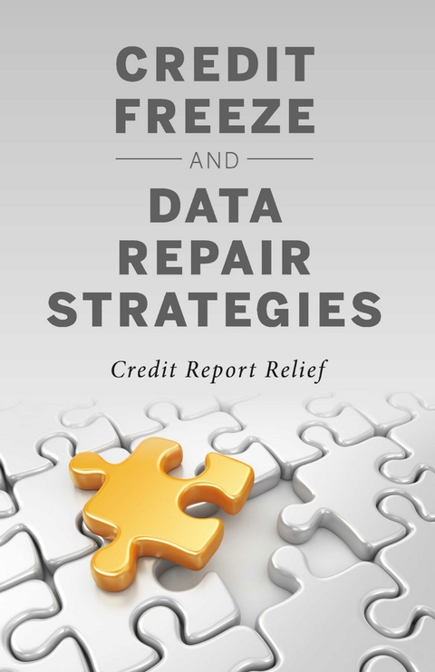 Credit Freeze and Data Repair Strategies -  Credit Report Relief