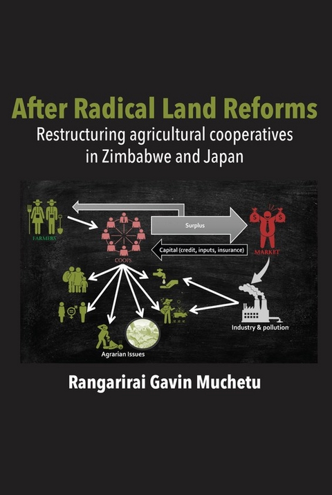 After Radical Land Reform -  Gavin Muchetu