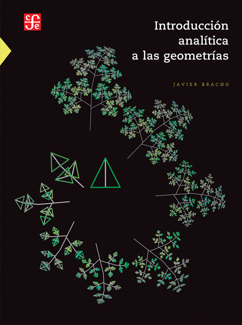 Introducción analítica a las geometrías - Javier Bracho