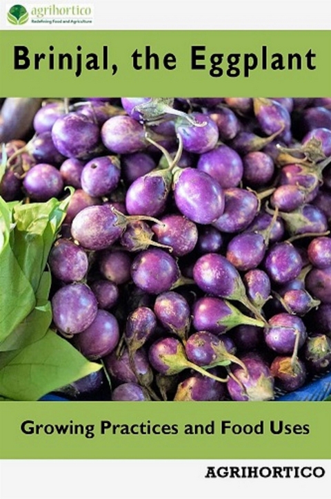 Brinjals, the Eggplant - Agrihortico Cpl