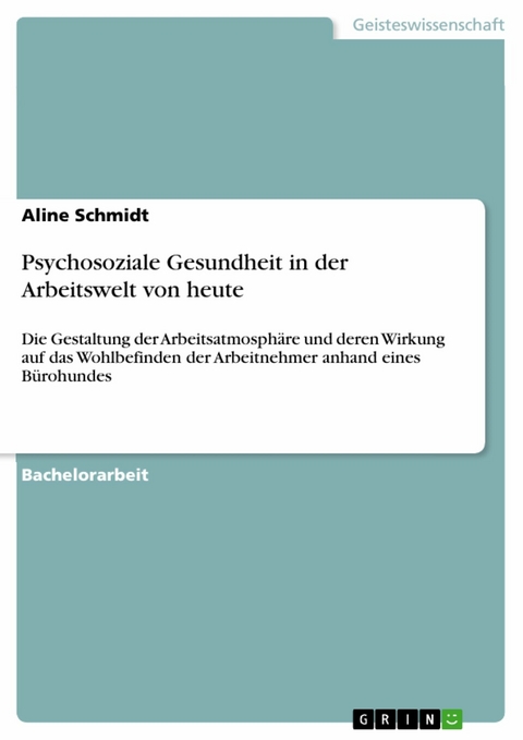 Psychosoziale Gesundheit in der Arbeitswelt von heute - Aline Schmidt