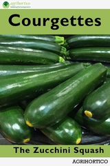 Courgettes - Agrihortico Cpl