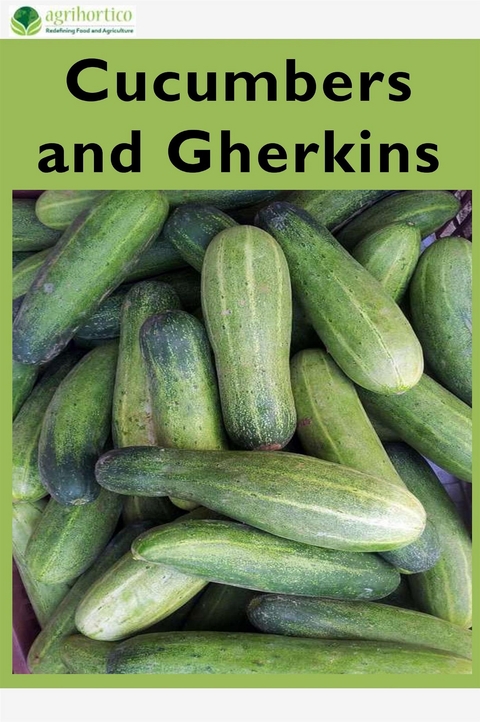 Cucumbers and Gherkins - Agrihortico Cpl