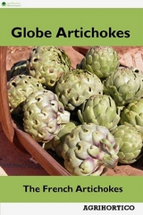 Globe Artichokes - Agrihortico Cpl