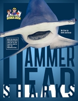 Hammerhead Sharks -  Beth COSTANZO