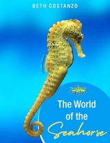 Seahorse Activity Workbook For Kids ages 4-8 - Beth Costanzo