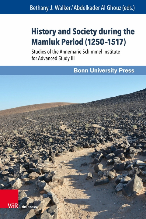 History and Society during the Mamluk Period (1250-1517) -  Bethany J. Walker,  Abdelkader Al Ghouz