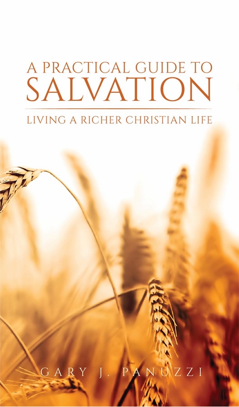 Practical Guide to Salvation -  Gary J. Panuzzi