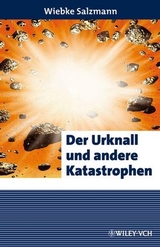 Der Urknall und andere Katastrophen - Wiebke Salzmann