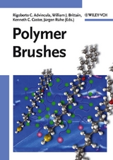 Polymer Brushes - 