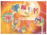 The Protein Chart - Richard Charles Garratt, Christine A. Orengo