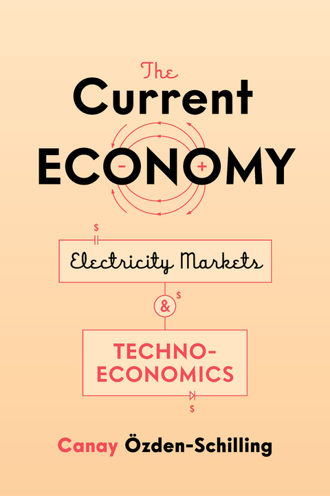 The Current Economy - Canay Özden-Schilling