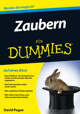 Zaubern für Dummies - David Pogue