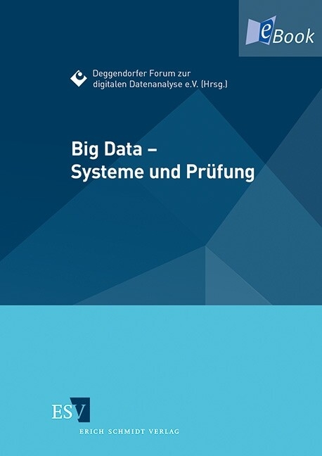 Big Data - Systeme und Prüfung