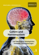 Gehirn und Nervensystem - 