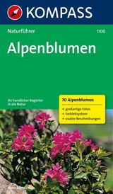 Alpenblumen - Jaitner, Christine