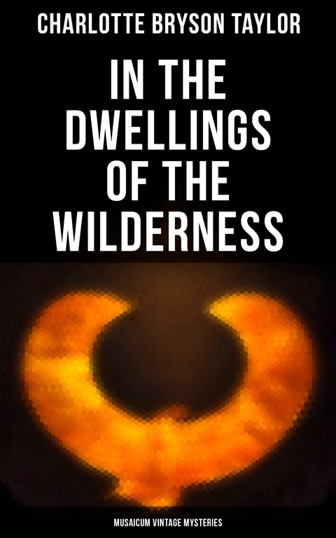 In the Dwellings of the Wilderness (Musaicum Vintage Mysteries) - Charlotte Bryson Taylor