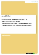 Gesundheits- und Arbeitsschutz in verschiedenen Betrieben. Privatwirtschaftliche Unternehmen und Unternehmen des öffentlichen Dienstes - André Müller