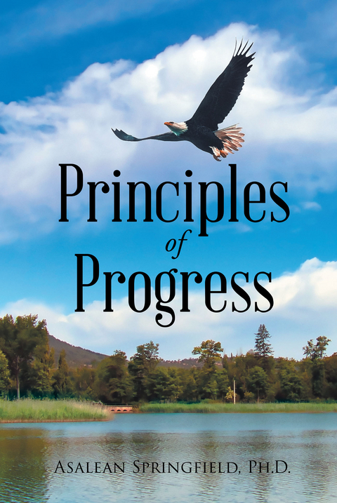 Principles of Progress -  Asalean Springfield Ph.D.