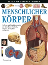 Menschlicher Körper