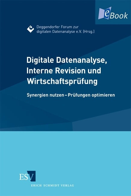 Digitale Datenanalyse, Interne Revision und Wirtschaftsprüfung