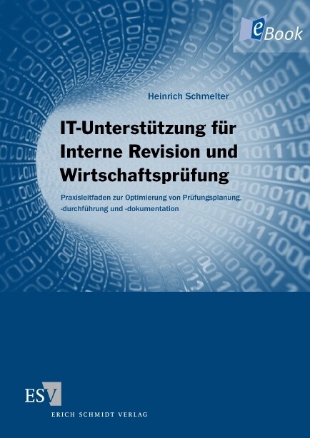 IT-Unterstützung für Interne Revision und Wirtschaftsprüfung -  Heinrich Schmelter